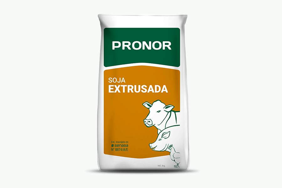 Soja Extrusada